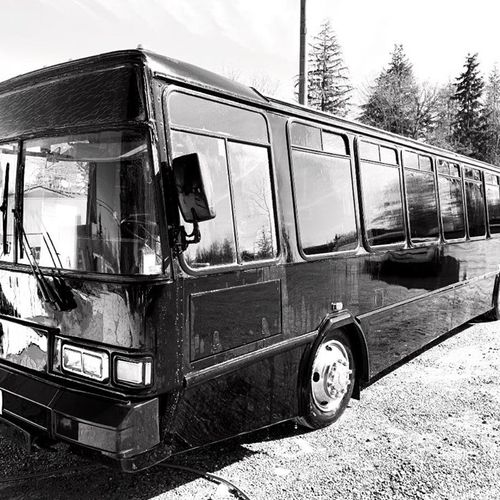 45 Passangers Bus