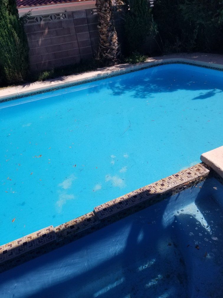 My pool was green and now it's crystal clear