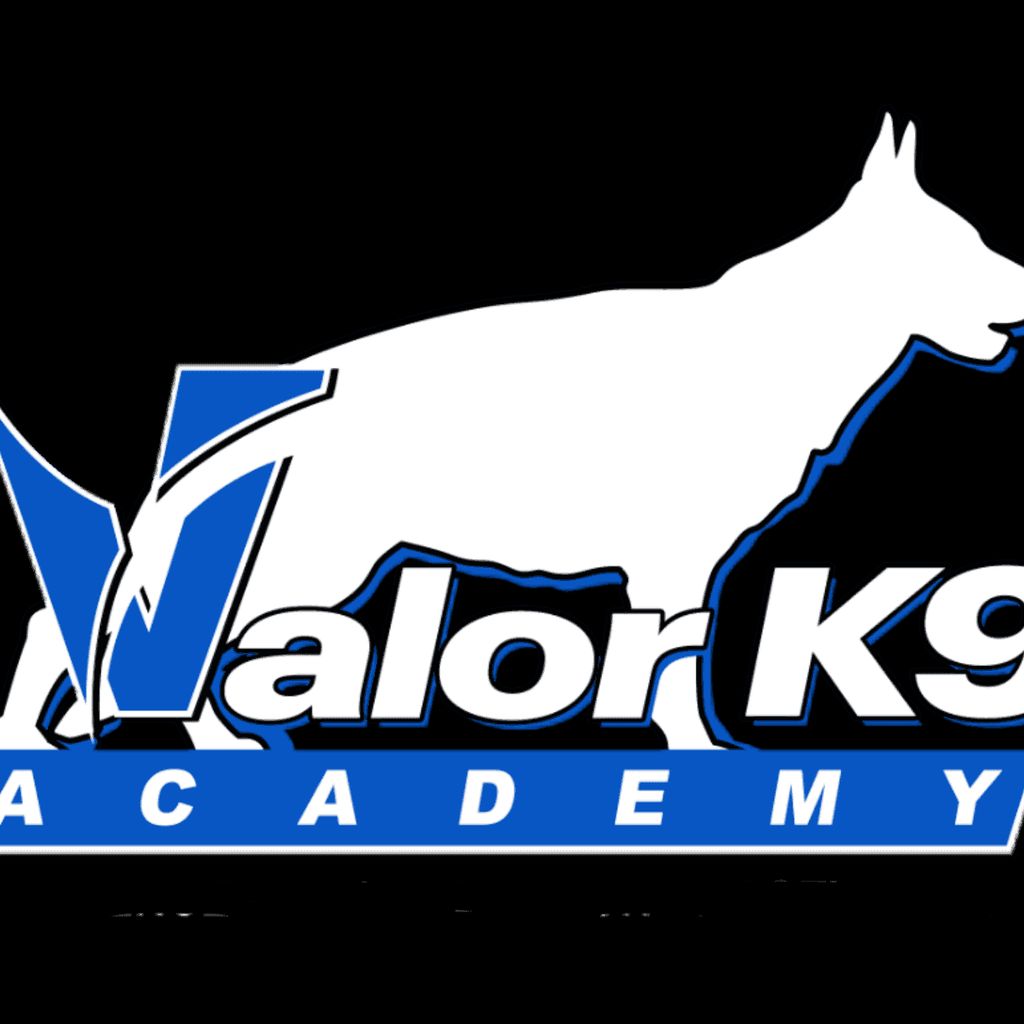 Valor K9 Academy