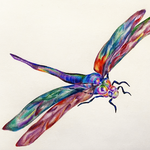 Colored Pencil Drawing of Dragon Fly