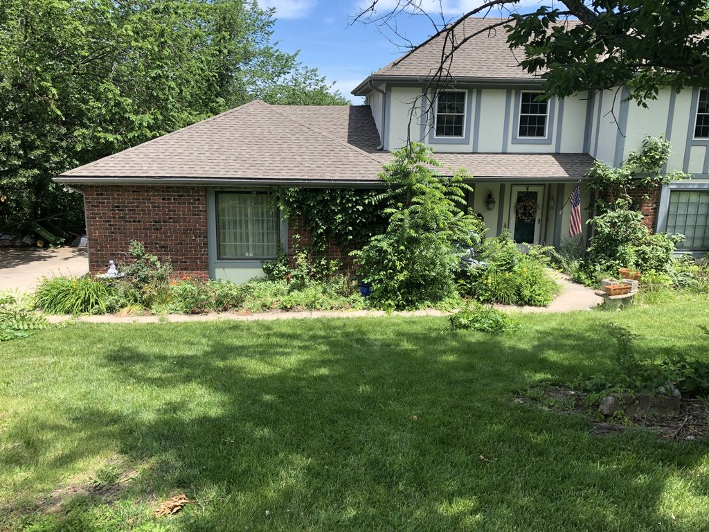 Shrub Trimming and Removal