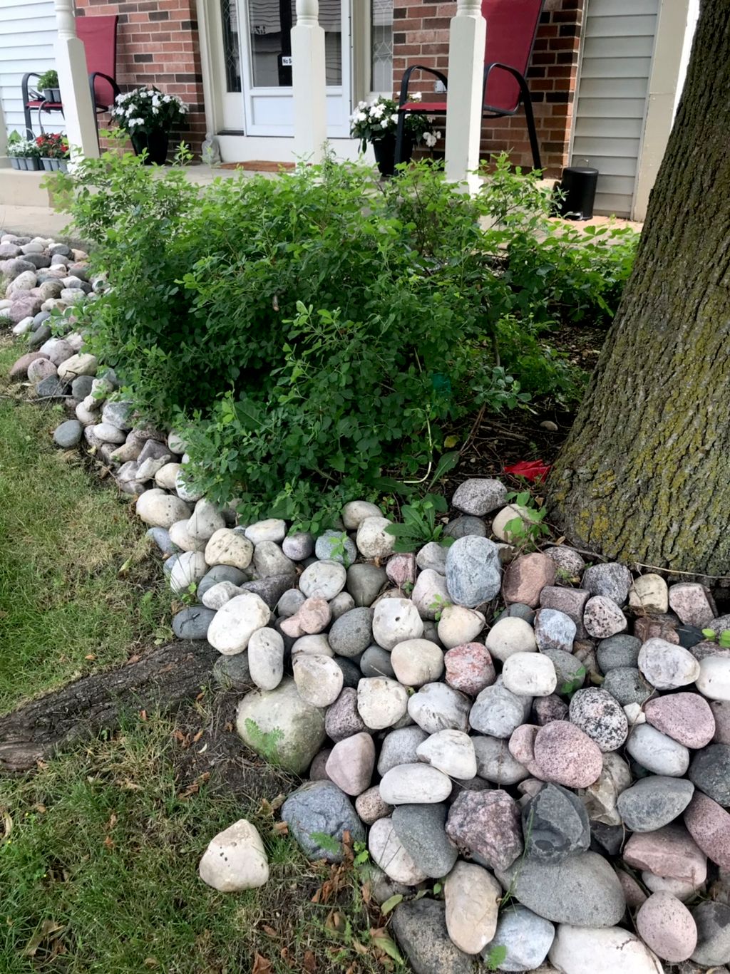 Customer photos