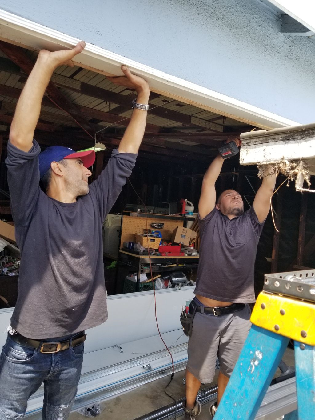 Projects and media