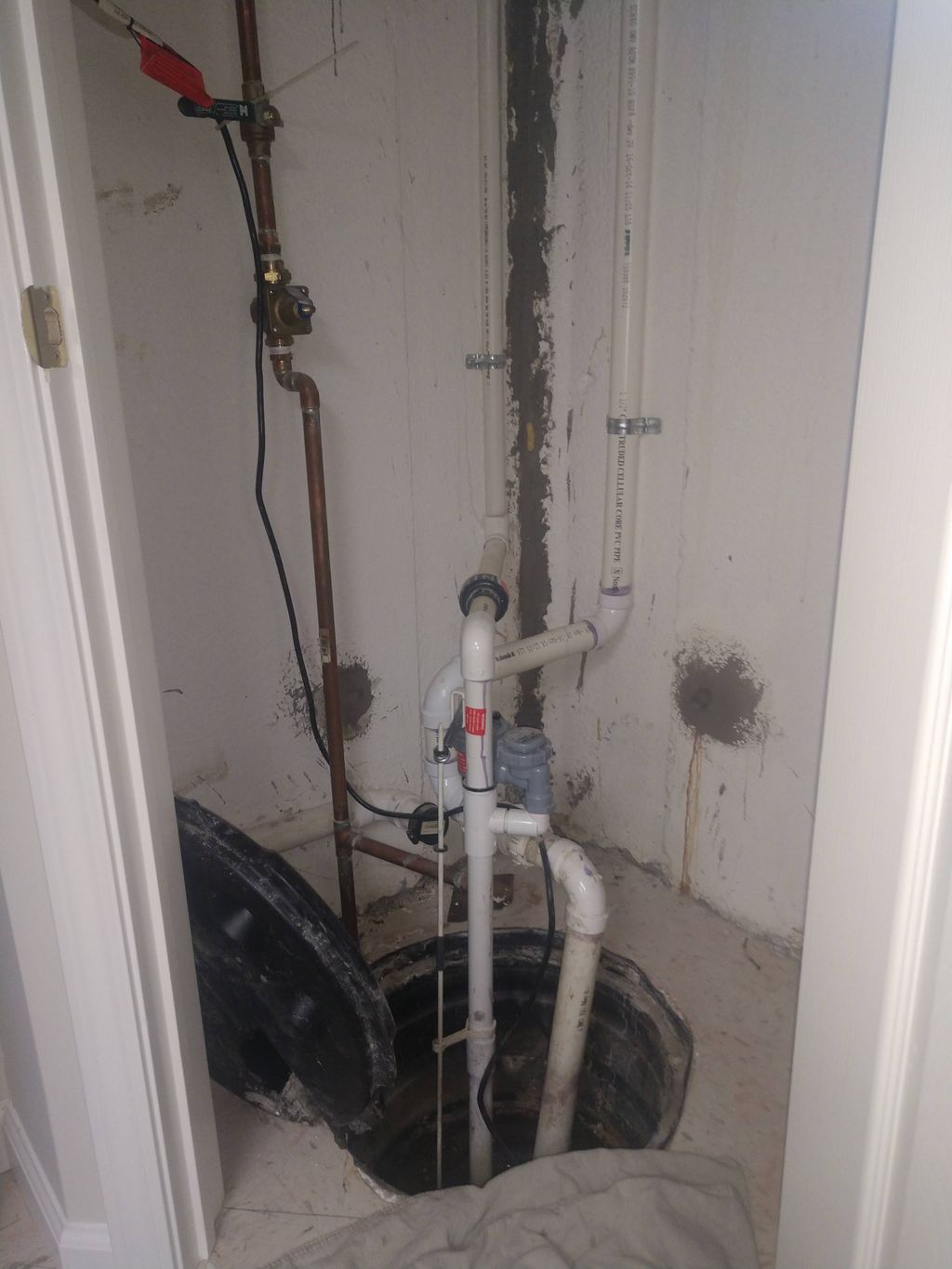 Sump pump and water backup pump BOTH failed!