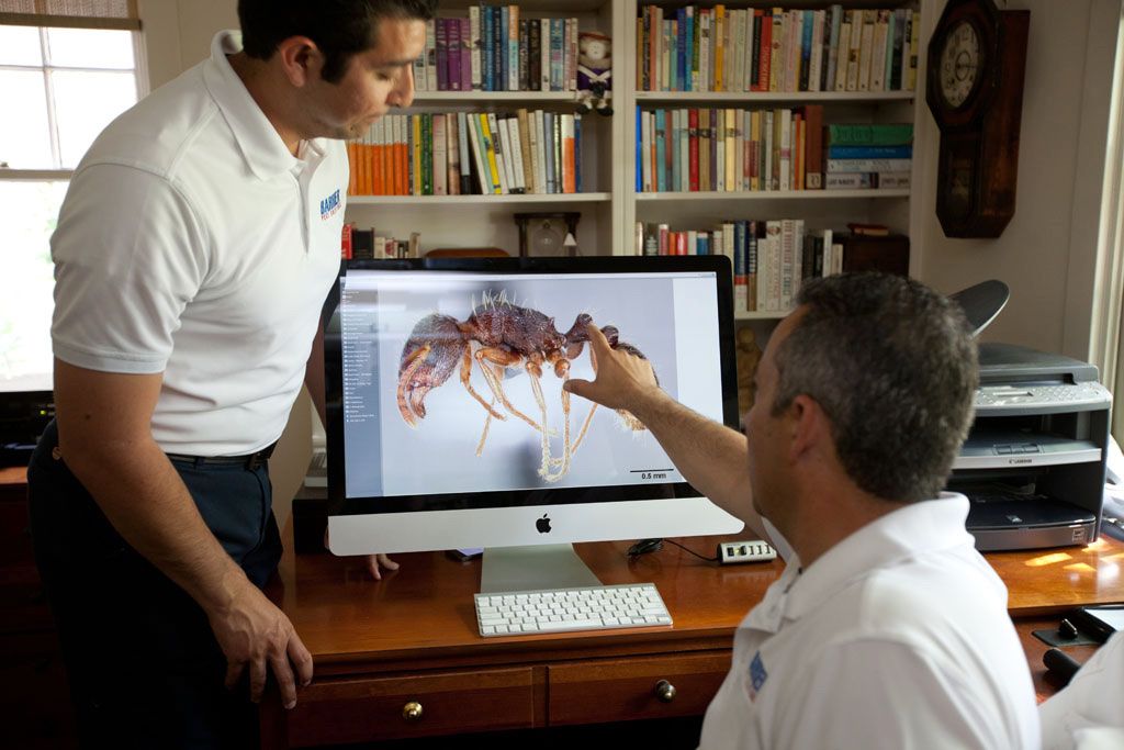 Continuing to educate ourselves is the cornerstone