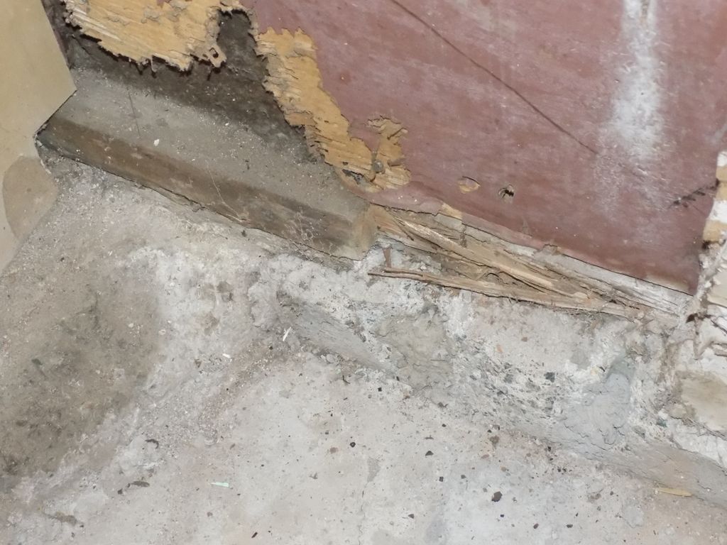 Termite damage
