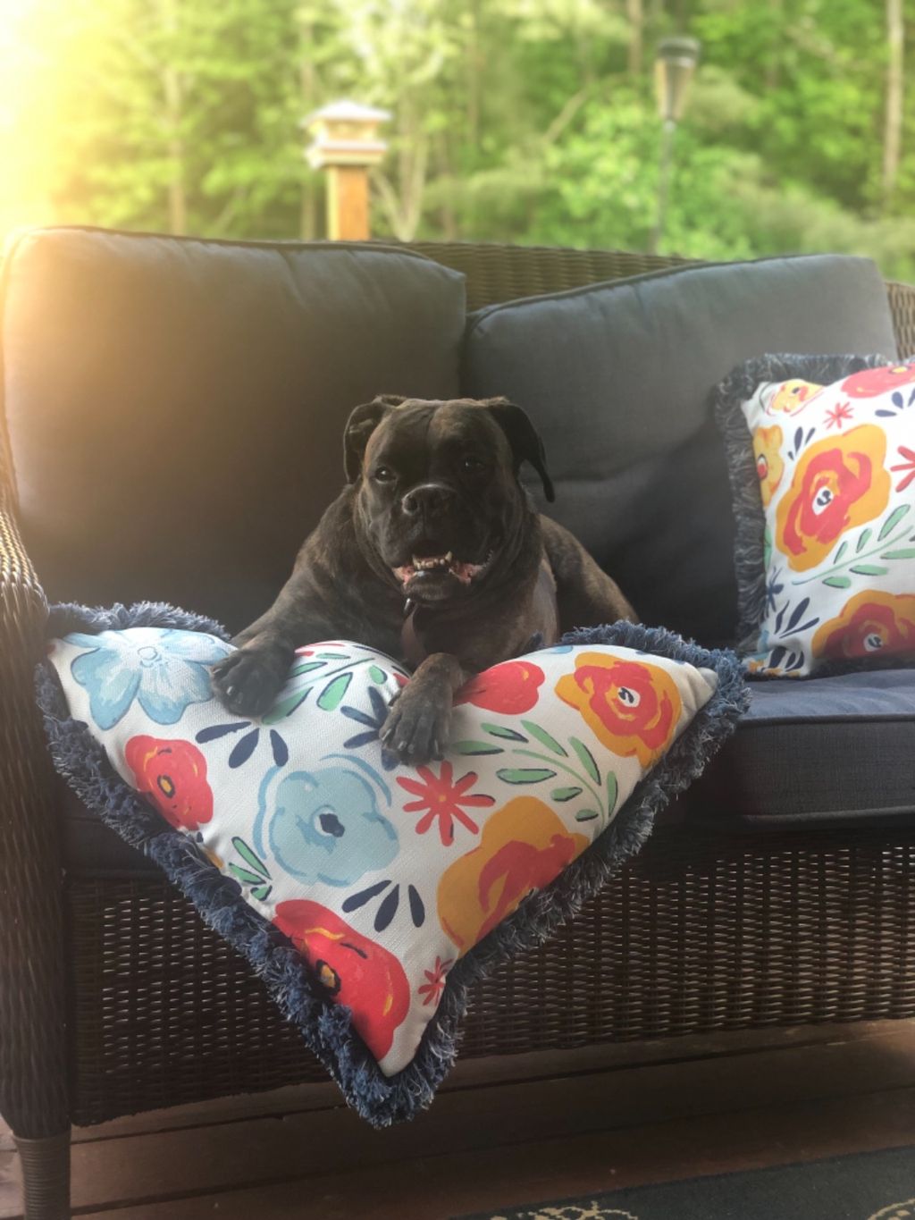 Customer photos