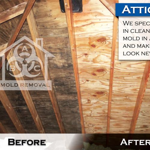 attic molding remediation 