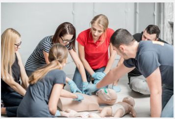 Insight Medical Educators staff ensures that all s