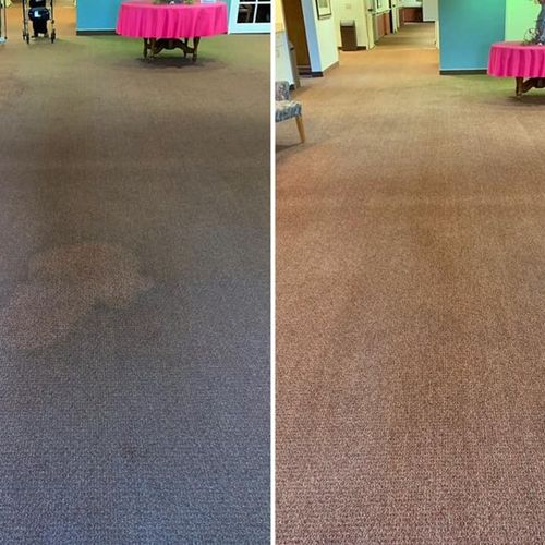 Another carpet cleaning success!
