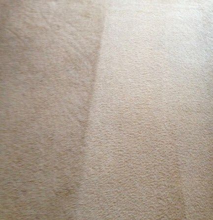 Our powerful steam cleaning can safe your carpet. 