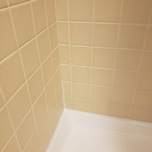 Did a great job removing mold in my bathroom showe