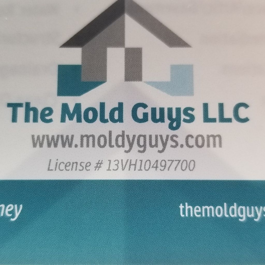 The Mold Guys LLC