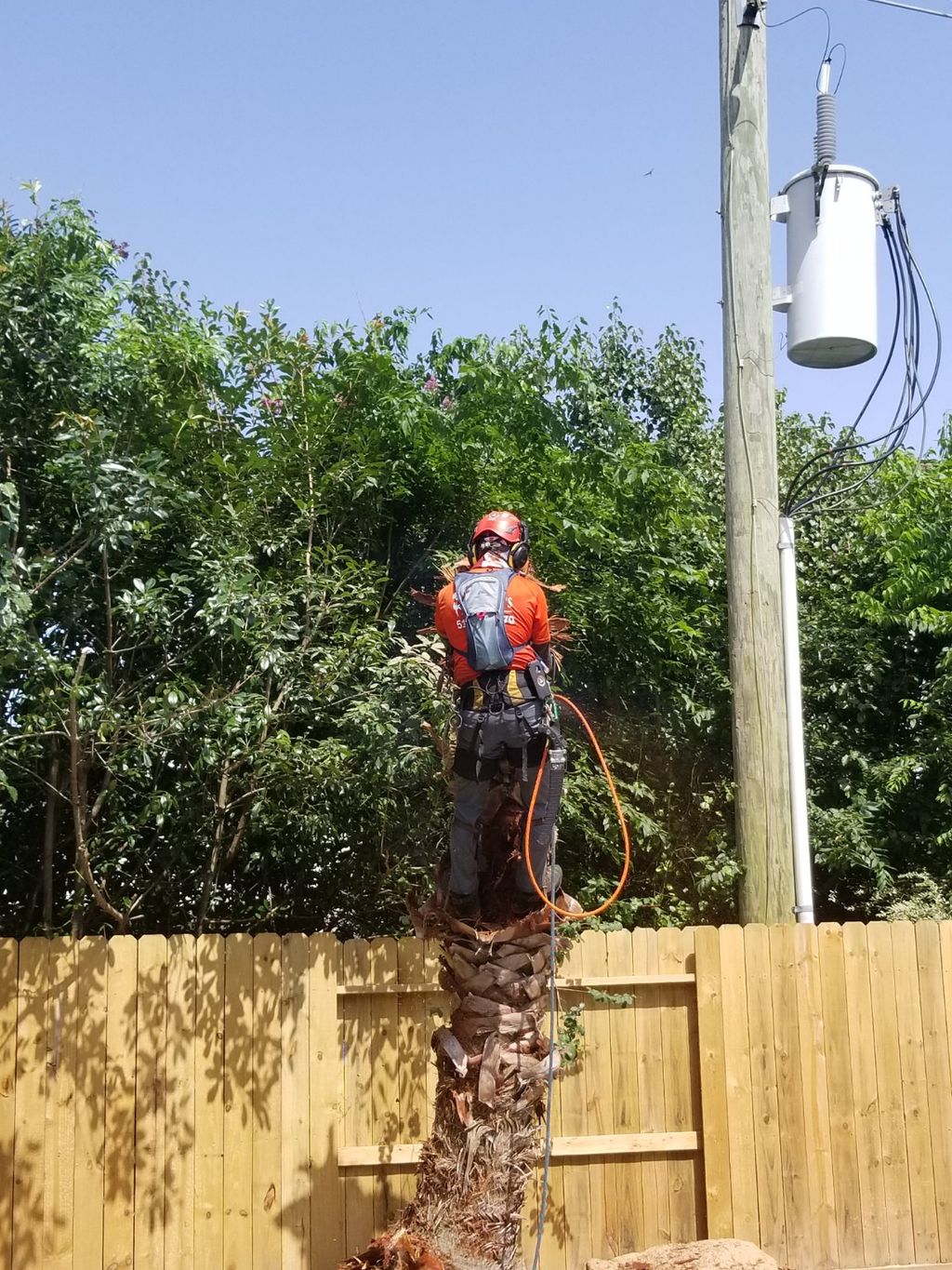 Customer photos