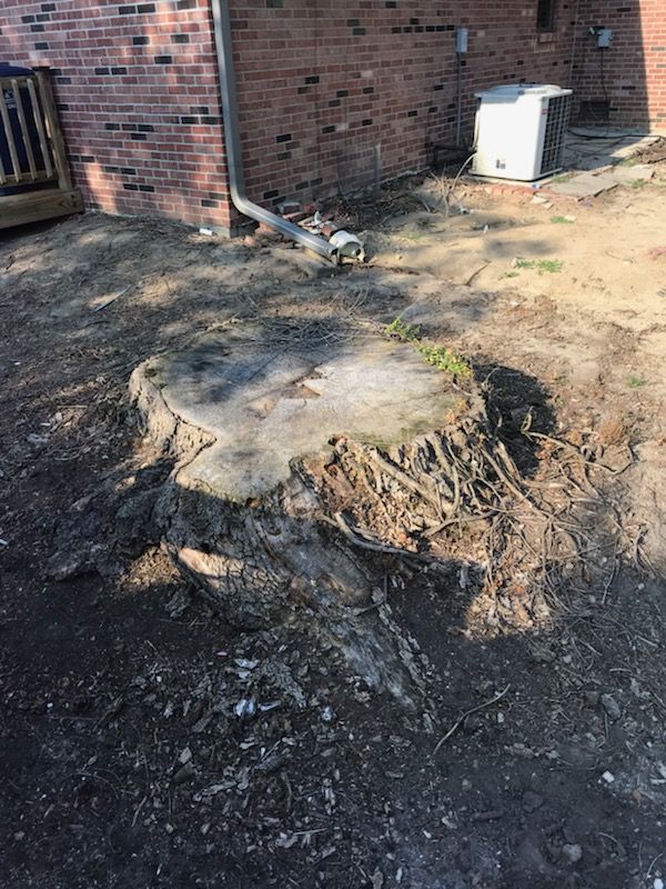 Tree Stump Grinding and Removal