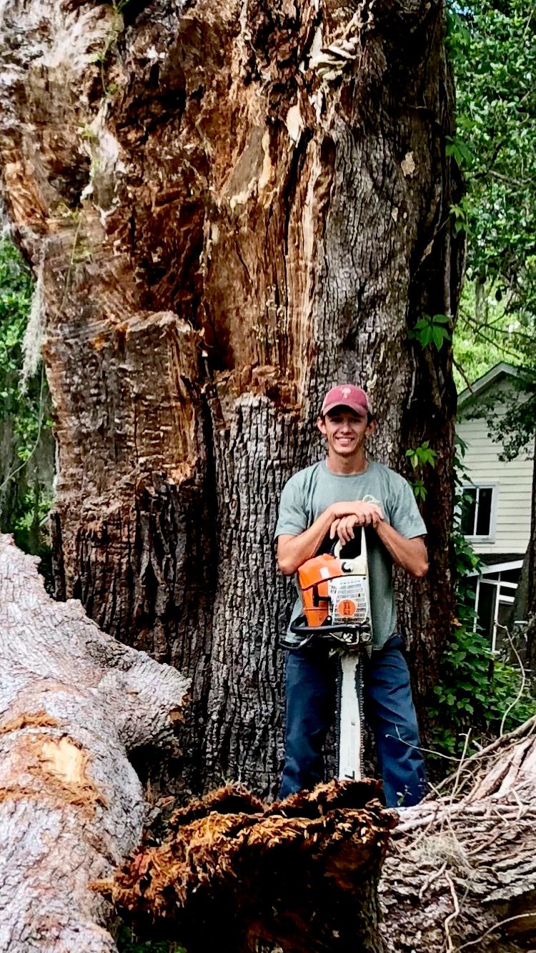 Tree Removal North Charleston SC - Tree Service Company