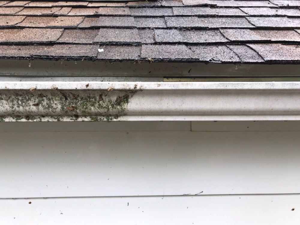 Do your gutters need pressure washing?