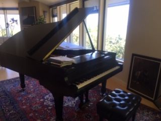 Home Piano 