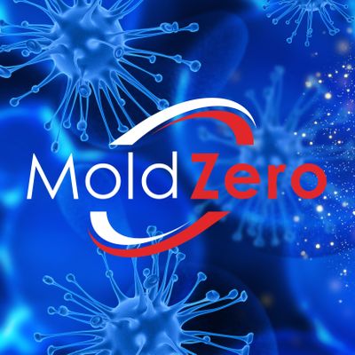 Avatar for Mold Zero