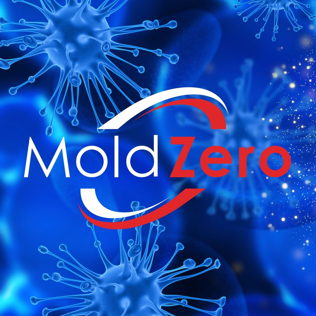 Mold Zero