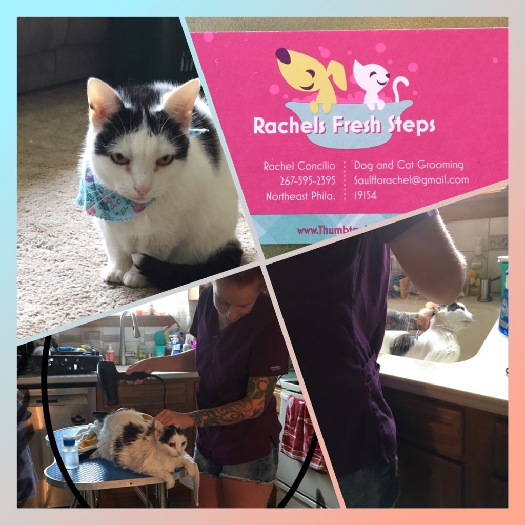 Customer photos