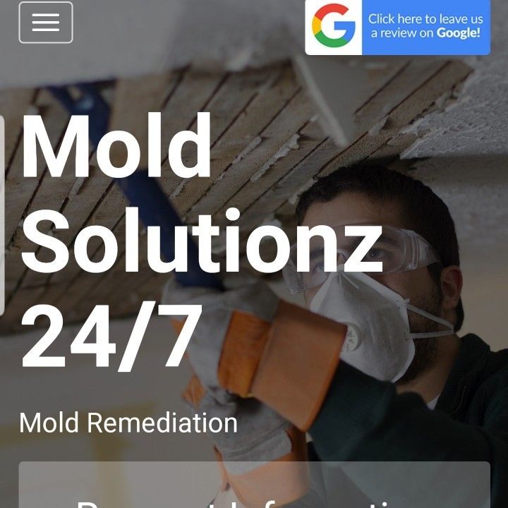 Mold Solutionz 24/7