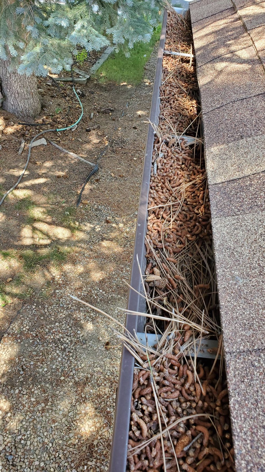 1) Needed Cleaning