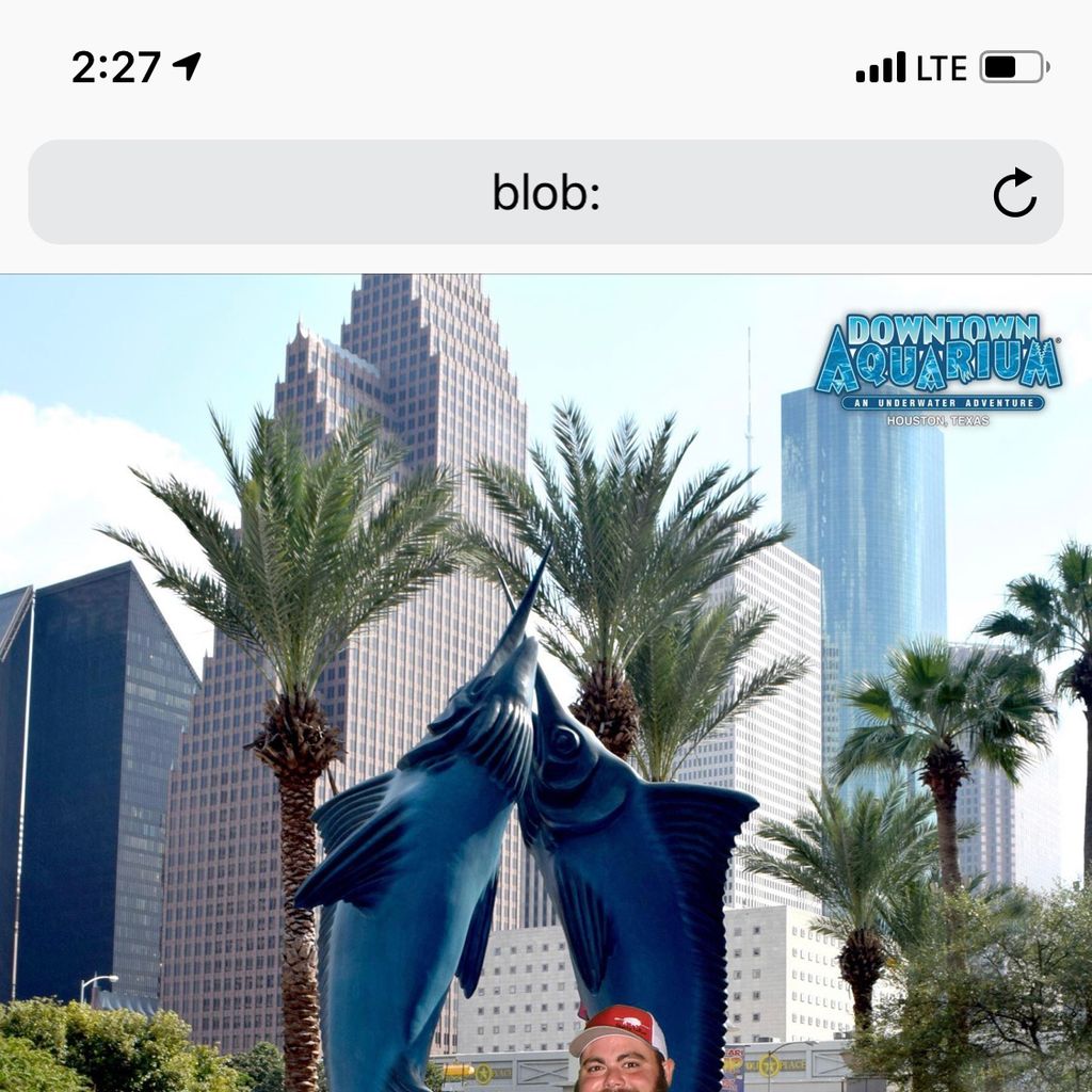 pro avatar