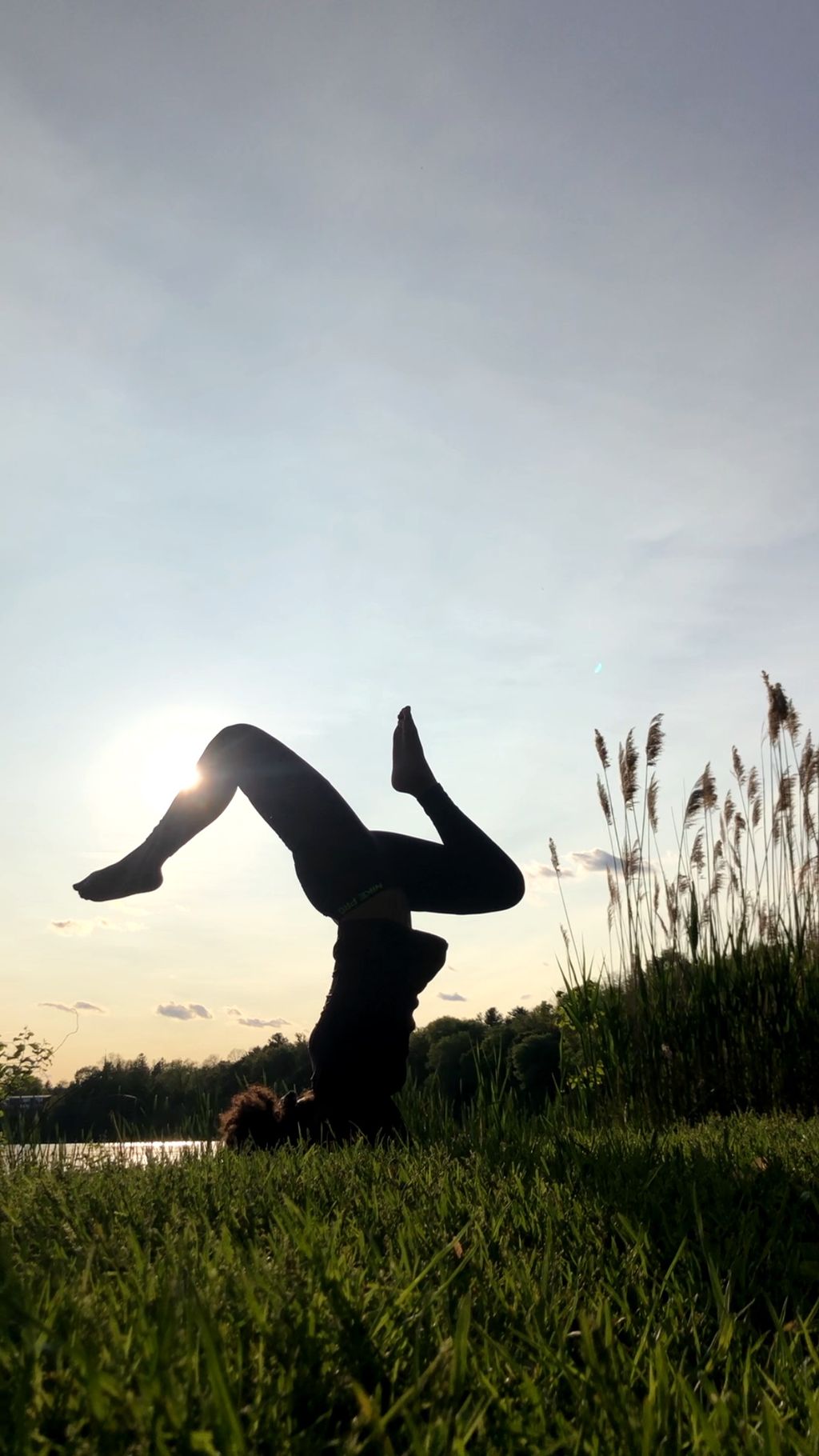 Inversions 