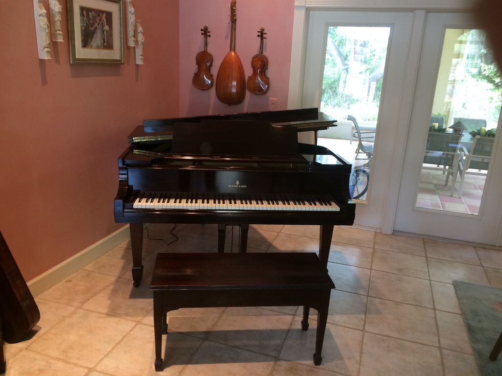 Steinway M for Carolyn K.