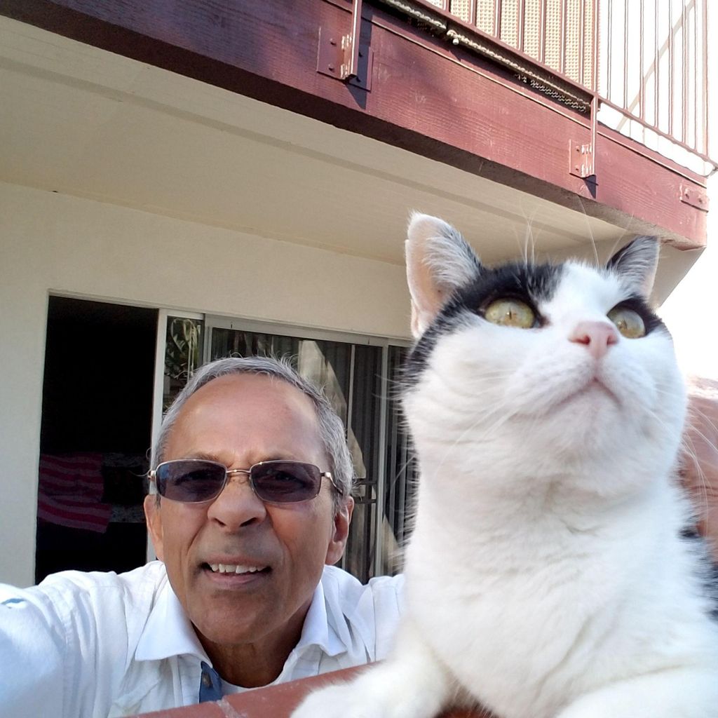 Catman Cat Sitters