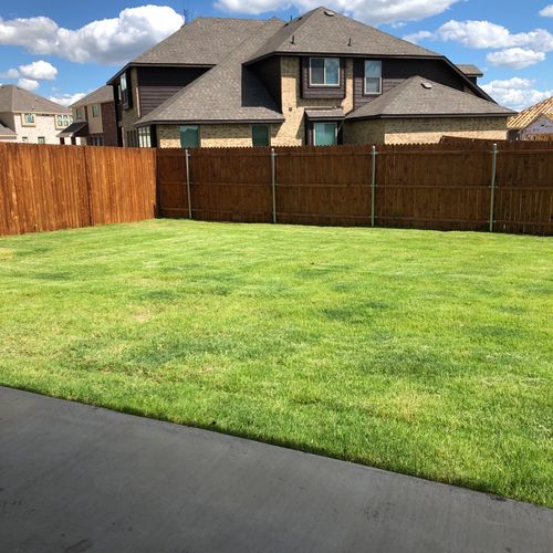 We had a “favorite” lawn guy for 12 years. He deci