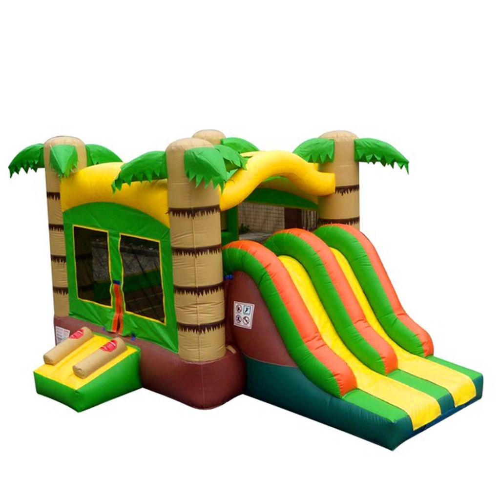 Dual Lane Tropical SLide 