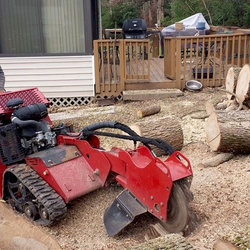 Zamora Tree Service Llc Alabaster Al