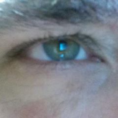 pro avatar