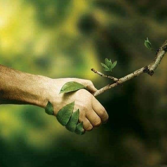 Sandi Cleaning Services LLC