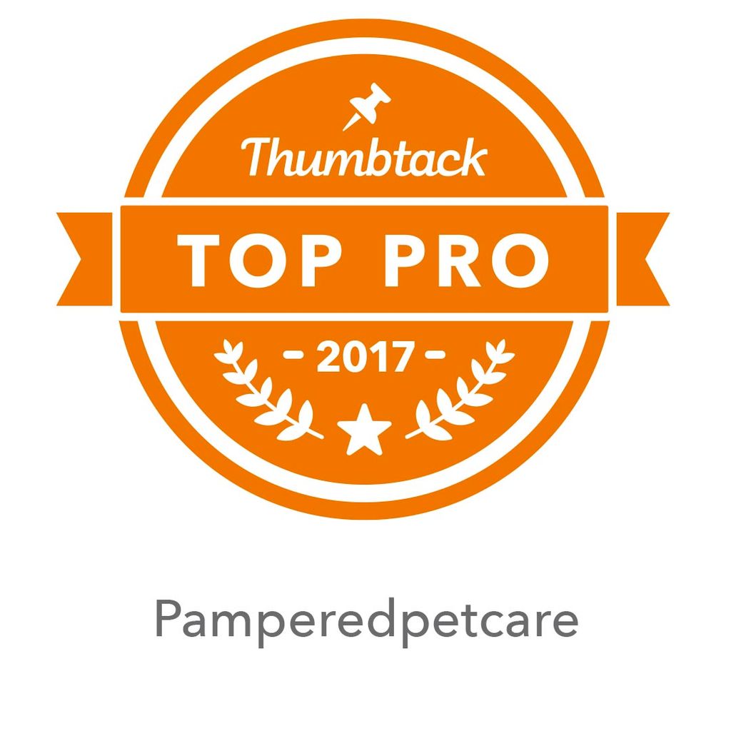 Top Pro 2017, 2018