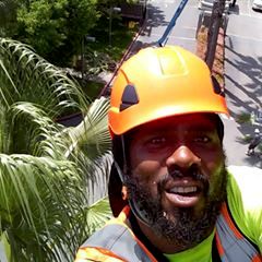 Kwanza Tree Care