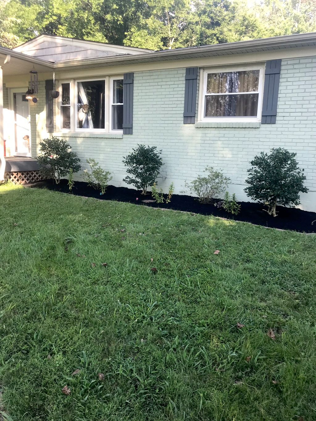 Customer photos