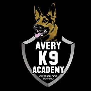 Avery K9 Academy