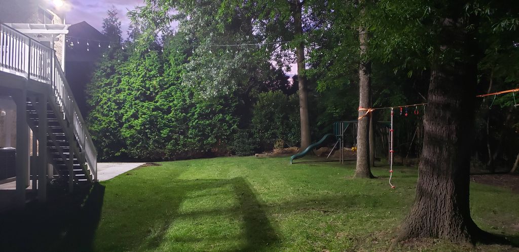 Backyard flood light