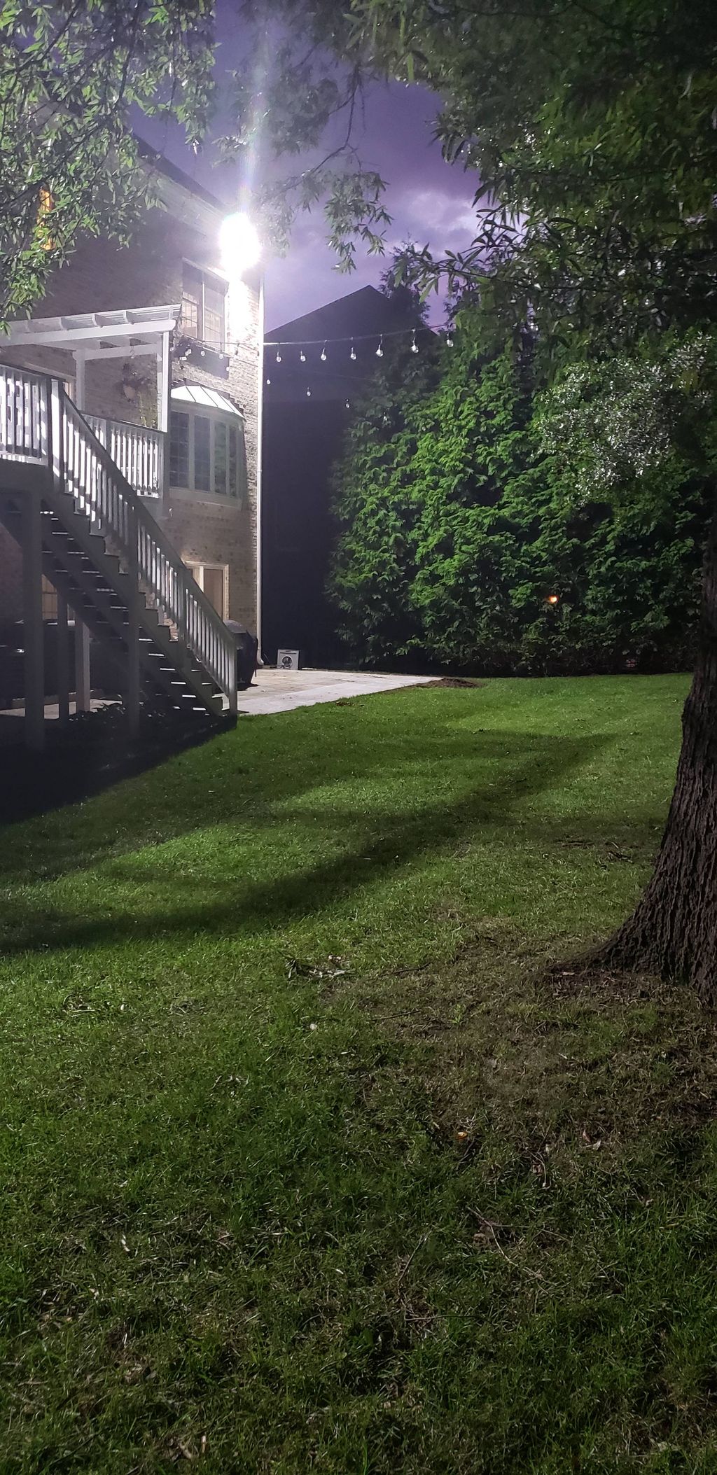 Backyard flood light
