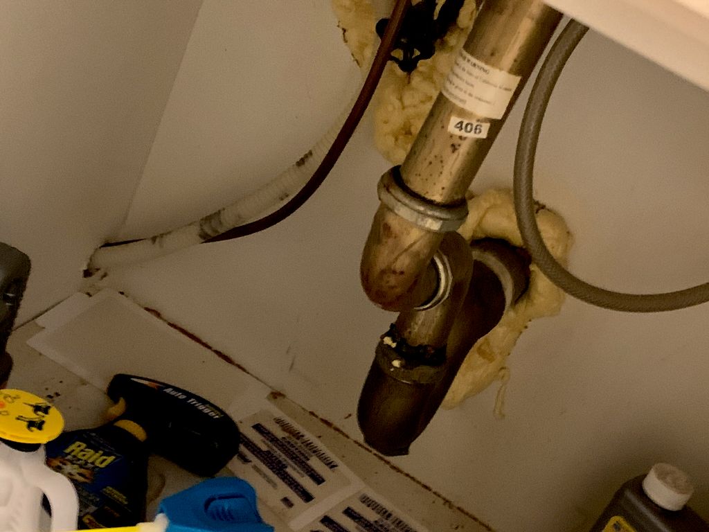 Rodent and cockroach issues?