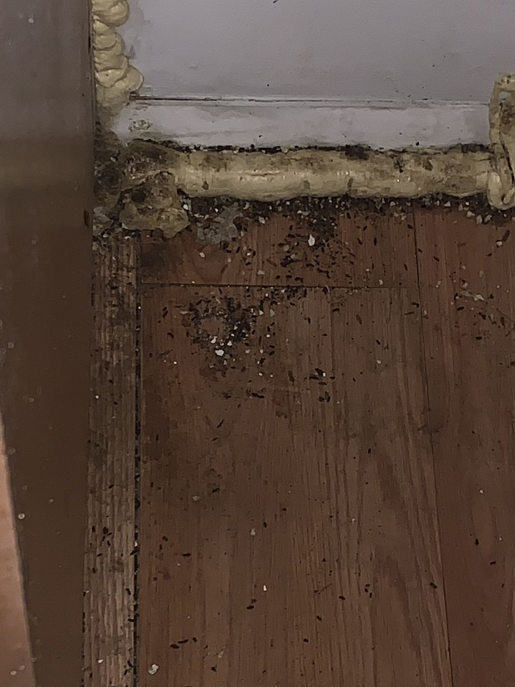 Don’t let your landlord get away with being a slum