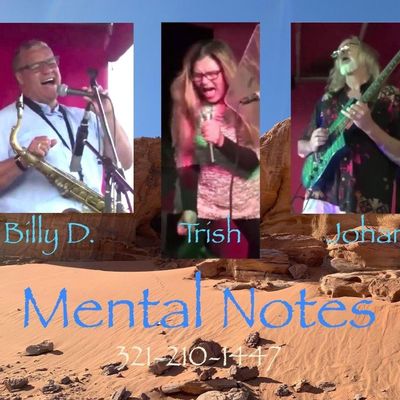 Avatar for Mental Notes