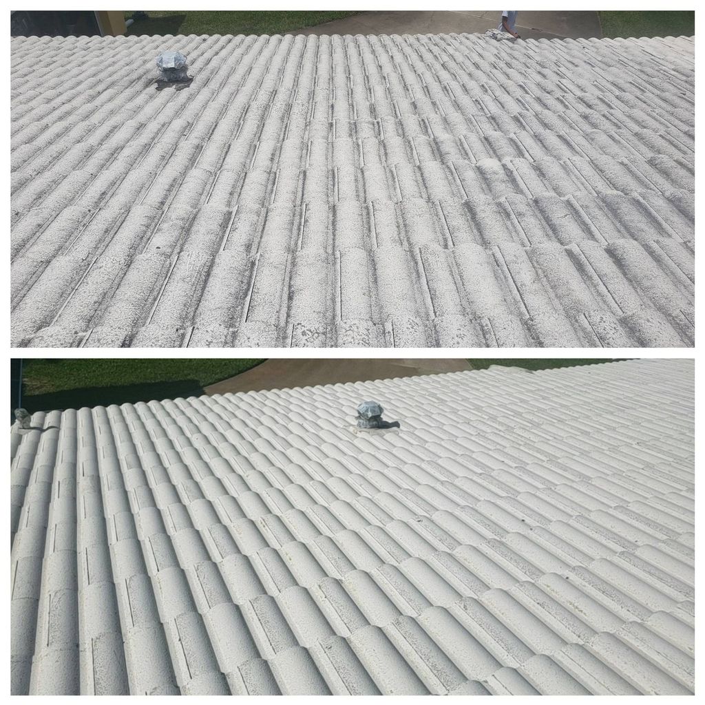 Roof Soft Wash 
