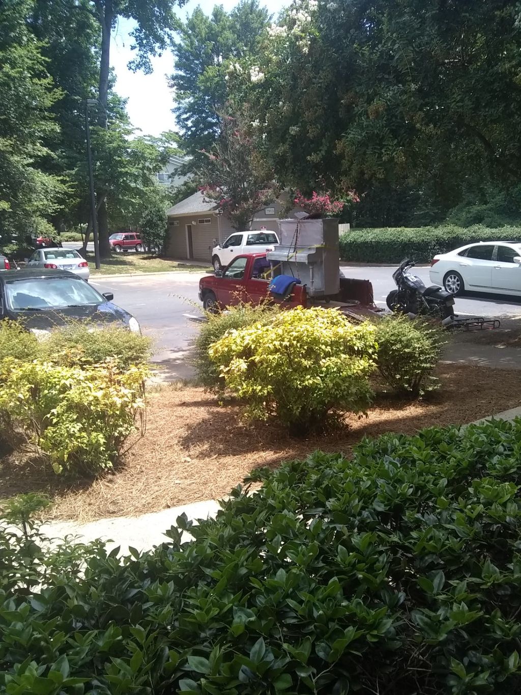 Customer photos