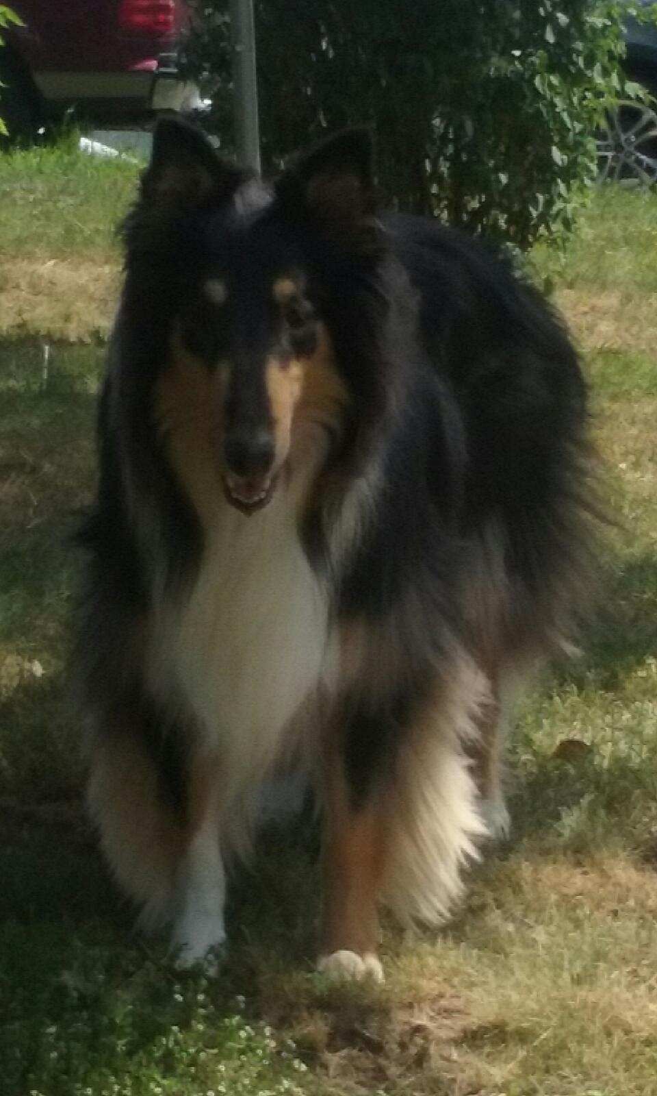 Princess Buttercup