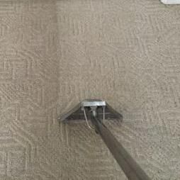 Carpet Cleaning Orlando