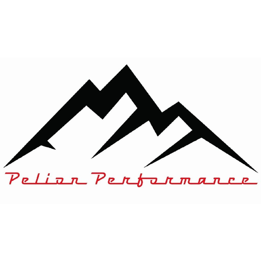 Pelion Performance